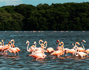 naivasha nakuru image gallery 2