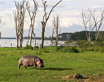 naivasha nakuru image gallery 3