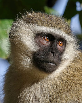 naivasha nakuru image gallery 4