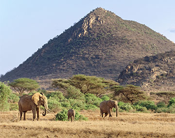samburu image gallery 2