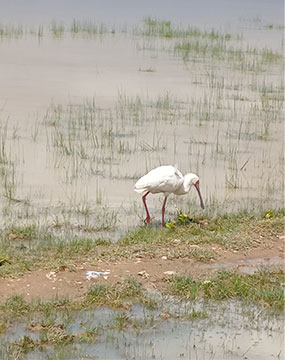 package photo 19
